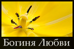 BOGINYA