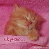 Аватара пользователя