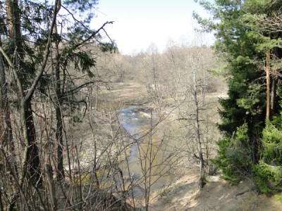 DSC01446-1.jpg