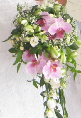 IMG_2920.JPG