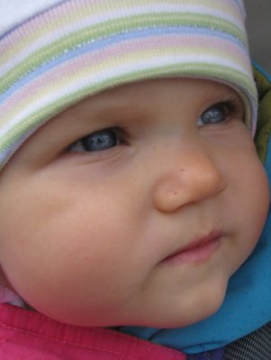 x_996c326c.jpg