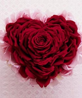 Rose .jpg