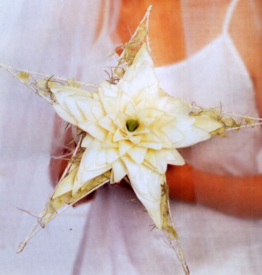 201249650072.jpg