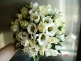 DSC03621.JPG