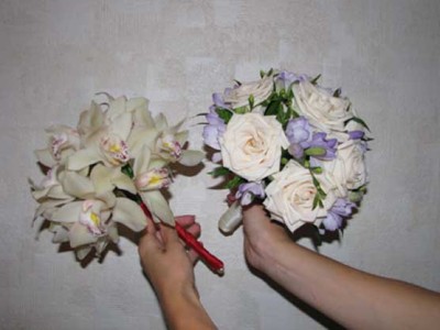IMG_27177.jpg