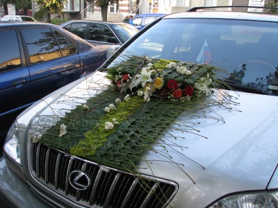  машины1.jpg