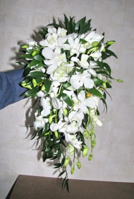 IMG_3158.jpg