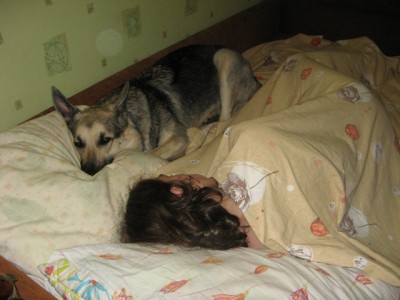 dogs 007.jpg