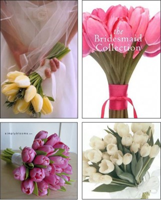 tulips.jpg