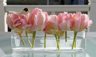 tulips-clear-vase.jpg