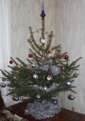 IMG_0936.jpg