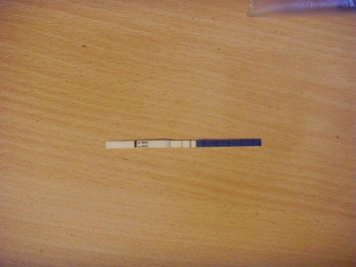 SNV30223.jpg