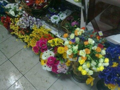 25022011176.jpg