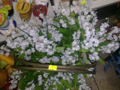 25022011178.jpg