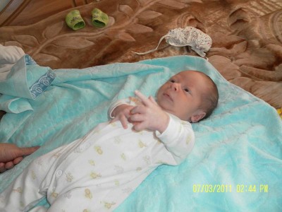 SAM_0564.JPG