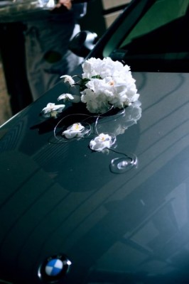 x_22a36a46.jpg