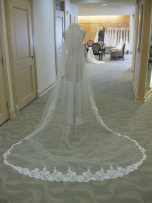 71755.veil_full1.JPG