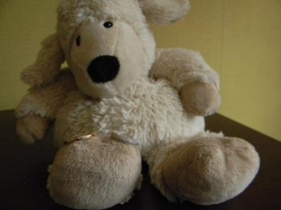 DSCN1137.jpg