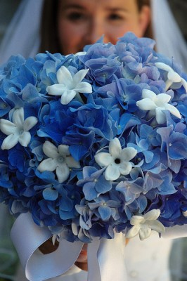 Blue-Wedding-Flowers.jpg