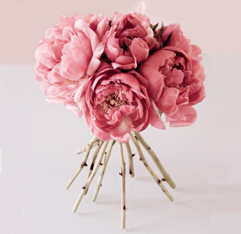 peony_bouquet.jpg