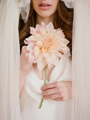 5796470_pwt6oTvF_c.jpg