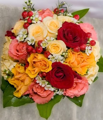 0_1c7c8_7e91fe27_-1-L.jpg