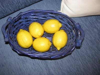 корзинка с лимонами 002.jpg
