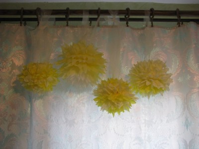 IMG_0002_resize.JPG