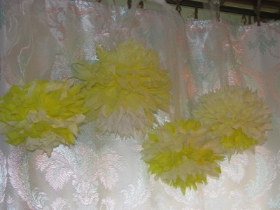 IMG_3_resize.JPG