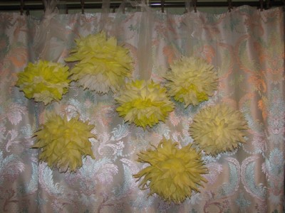 IMG_0003_resize.JPG