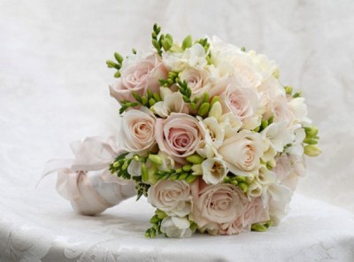 y_642e7800.jpg