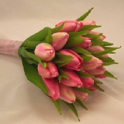 p50.jpg