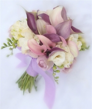 callarose.jpg