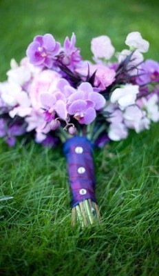 alldon-orchids-6.jpg