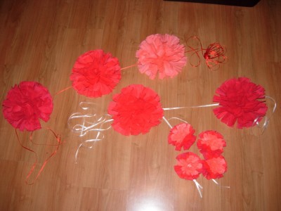 DSCN8323.JPG