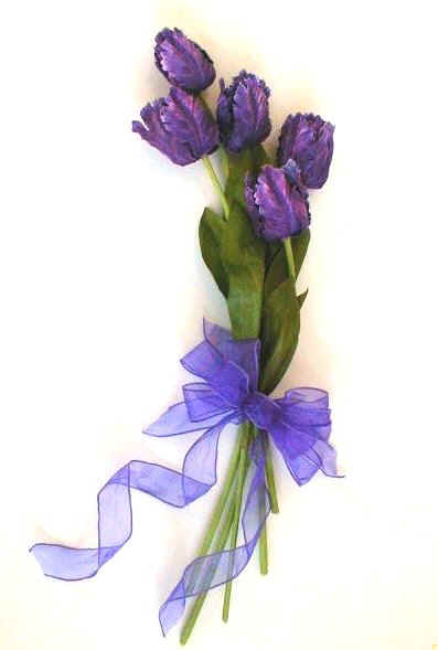 tulip_arm.jpg