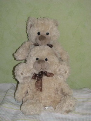 IMG_0016_новый размер.JPG