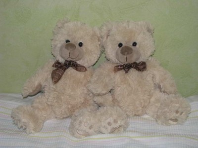 IMG_0006_новый размер.JPG