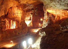 image1.jpg