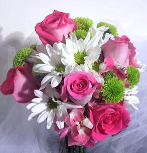 ebef2b798bfd992bda69956a926cebc3.jpg