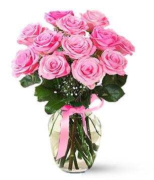 rose_12_pink_copy_.jpg