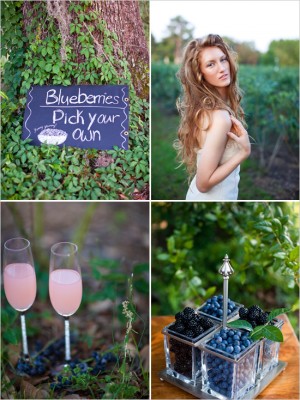 blueberryweddingideas2.jpg