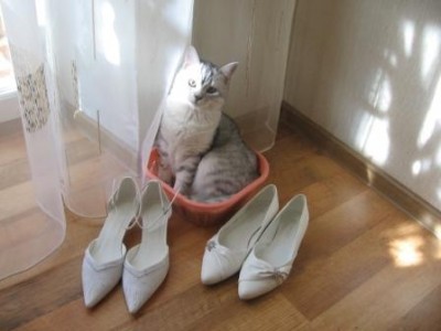 Изображение 012.jpg