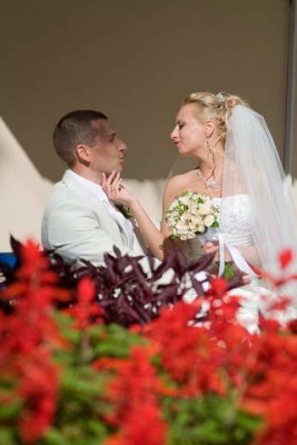 IMG_4784_новый размер.JPG