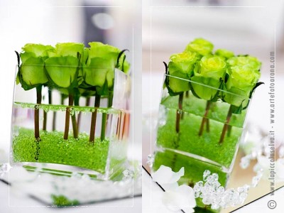 super-green-roses.jpg