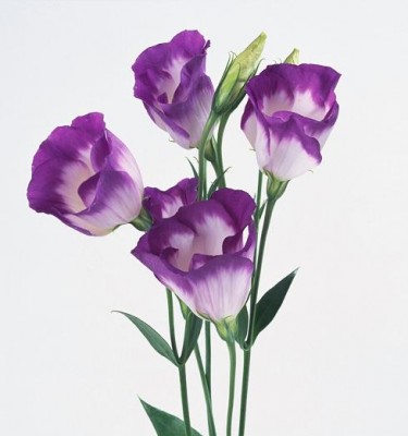 3f204c410b3c.jpg