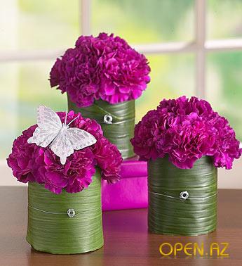 1307075906_fuksia_cvety.jpg