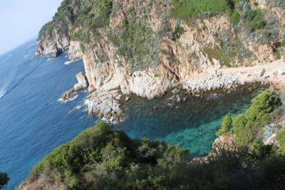 IMG_9950.jpg