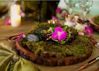 wood slab and moss.JPG