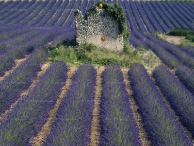 news_2010_07_15_n1.jpg